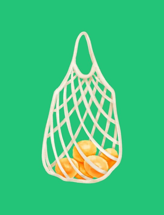 Mesh Bag with Citrus