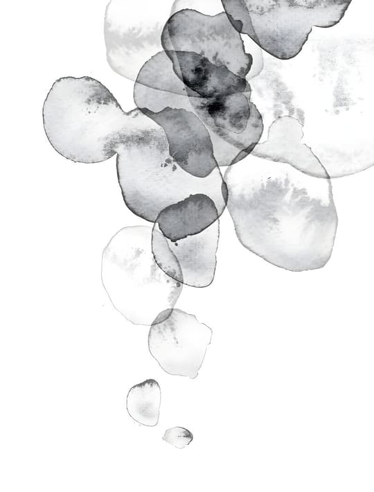 Floating Petals Study