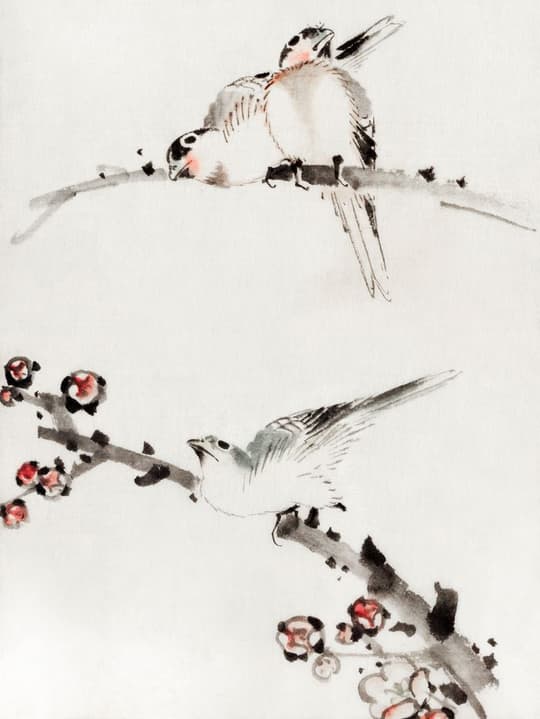 Birds on Flowering Branch