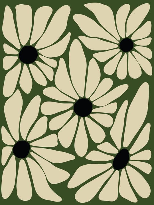 Daisy Garden