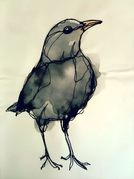 Minimalist Bird Study