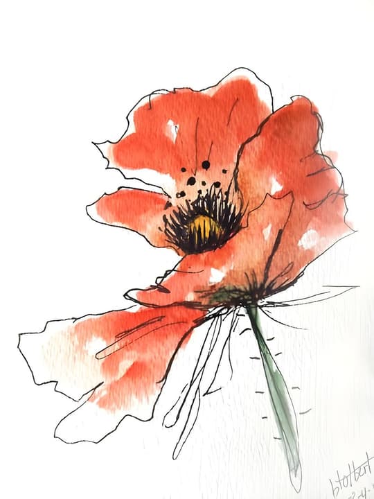 Botanical Red Poppy