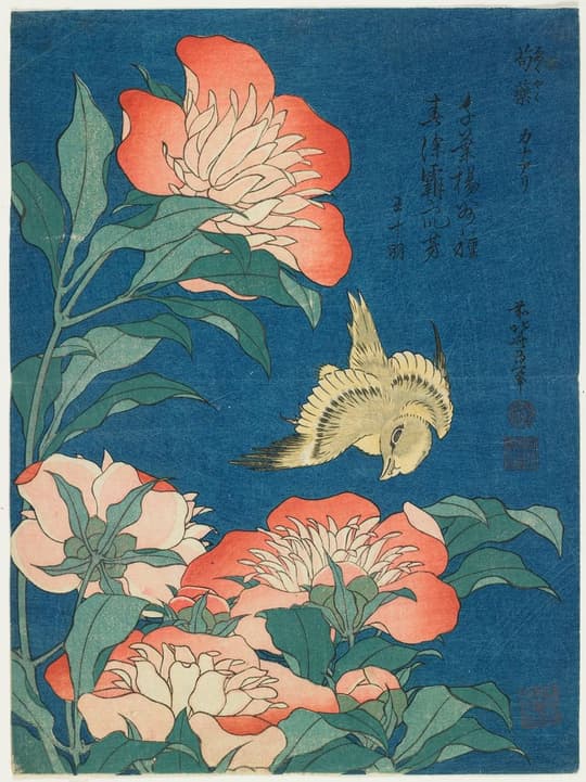 Bird and Peonies