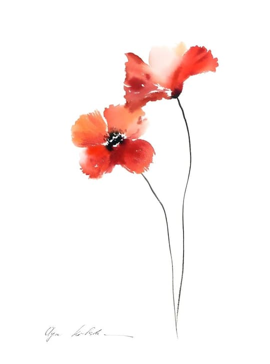 Red Poppies