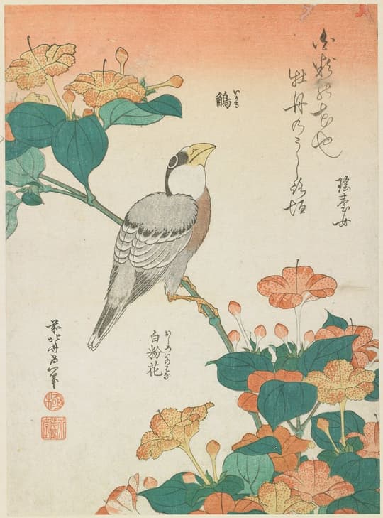 Bird with Flowering Plants