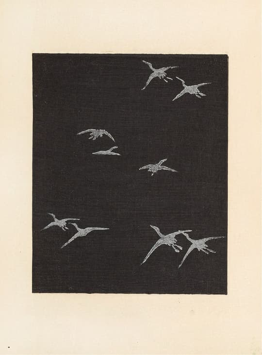 Flying Pterosaurs