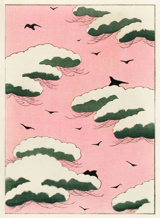 Sky with Birds and Clouds