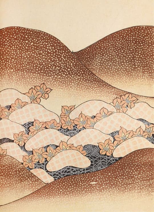Desert Blooms & Sandy Hills