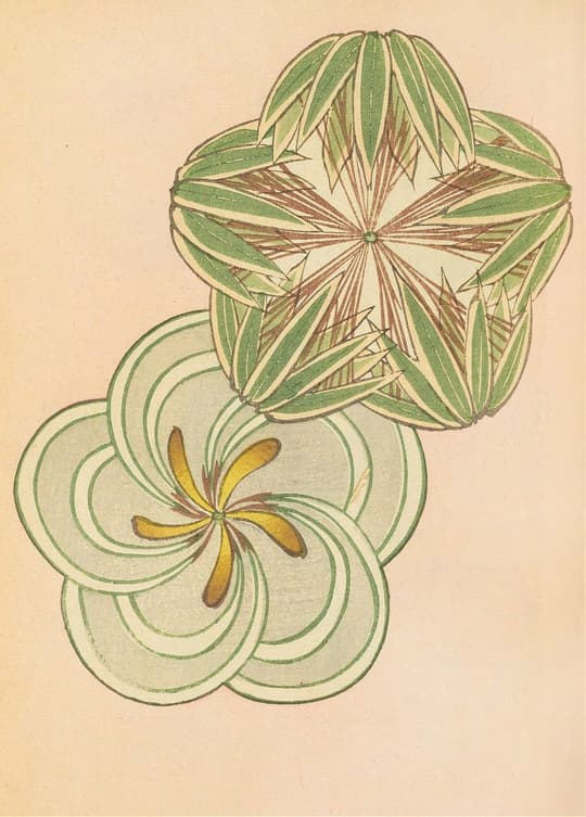 Botanical Flower Study
