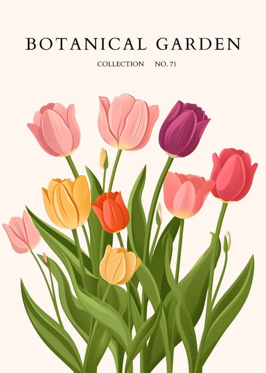 Botanical Garden Collection No. 71