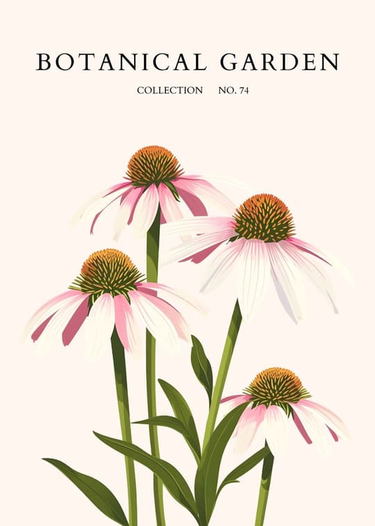 Coneflower Botanical Garden