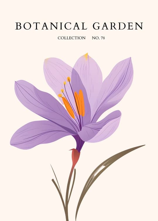 Lavender Bloom