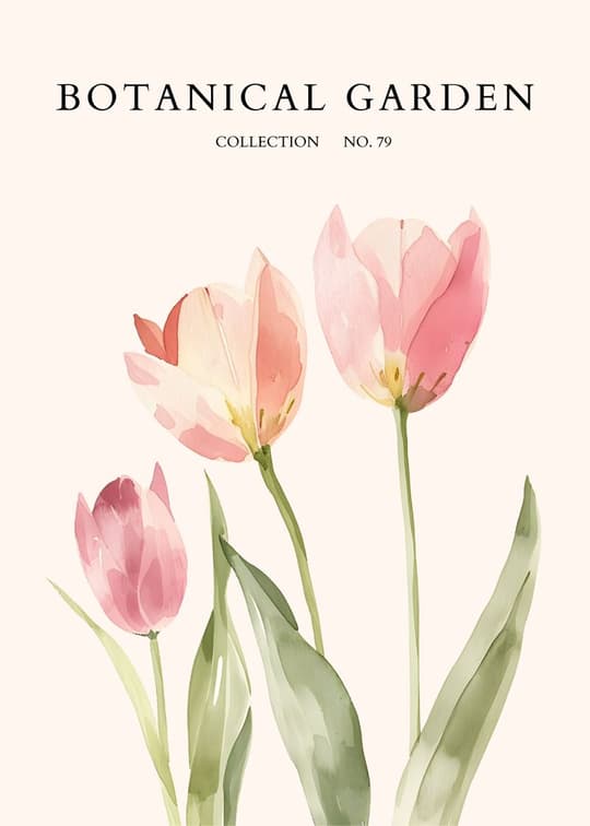 Botanical Garden Collection No. 79
