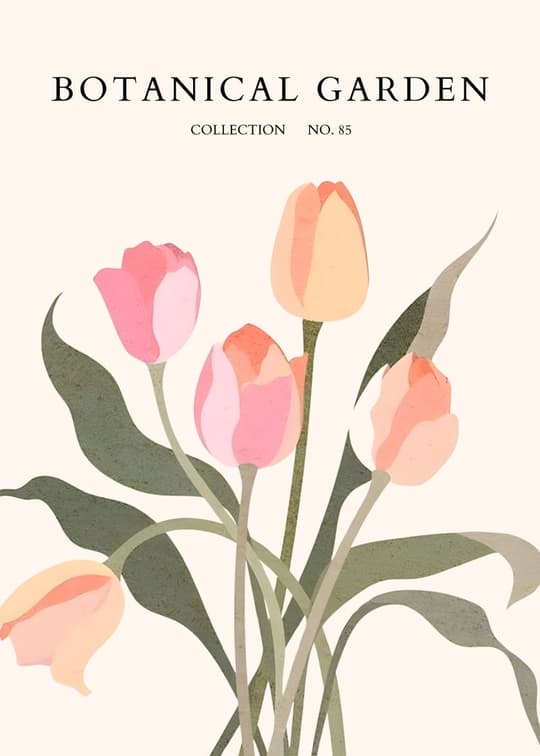 Botanical Garden Tulips No. 85