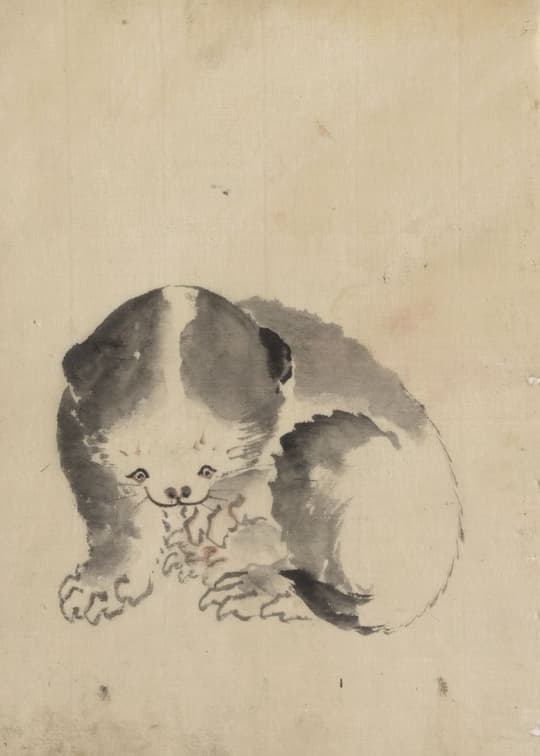 Playful Puppy Study