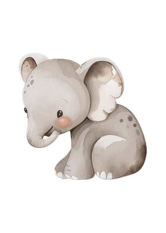 Baby Elephant