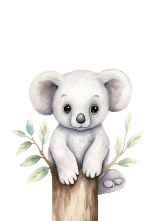 Baby Koala on Branch