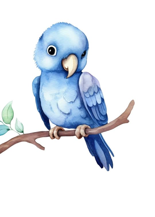 Blue Parakeet on Branch