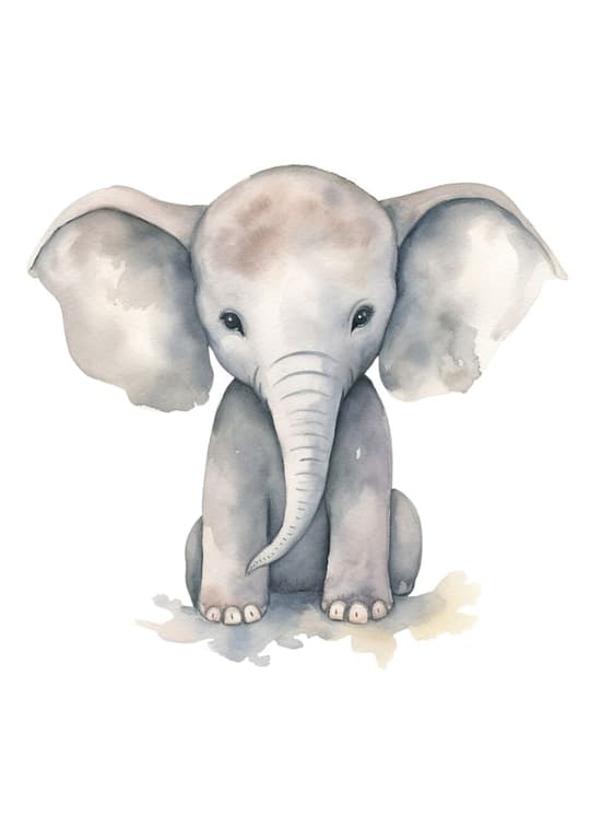 Baby Elephant Portrait