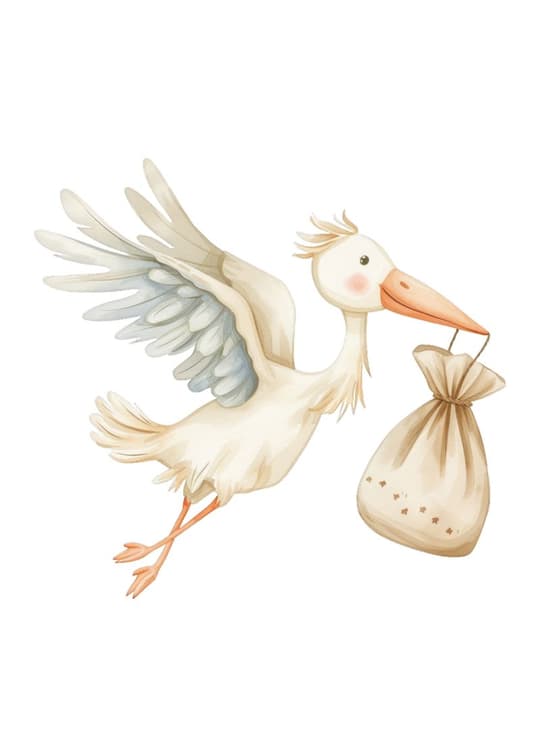 Stork Delivering Baby Bundle