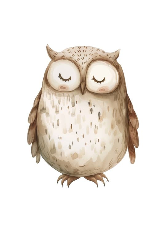 Sleepy Woodland Owl