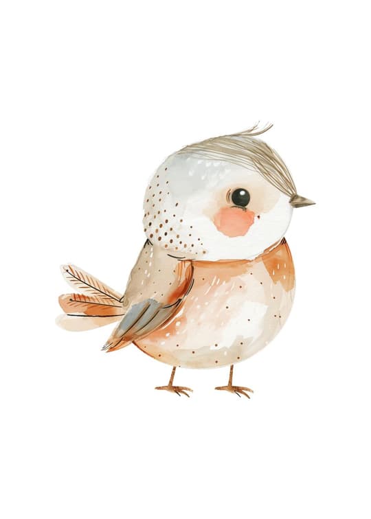 Little Robin