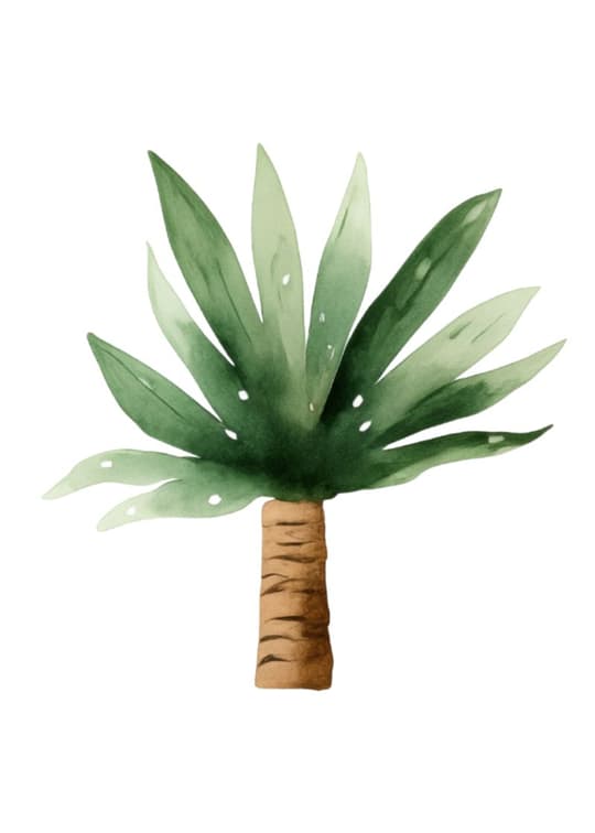 Agave Plant Study