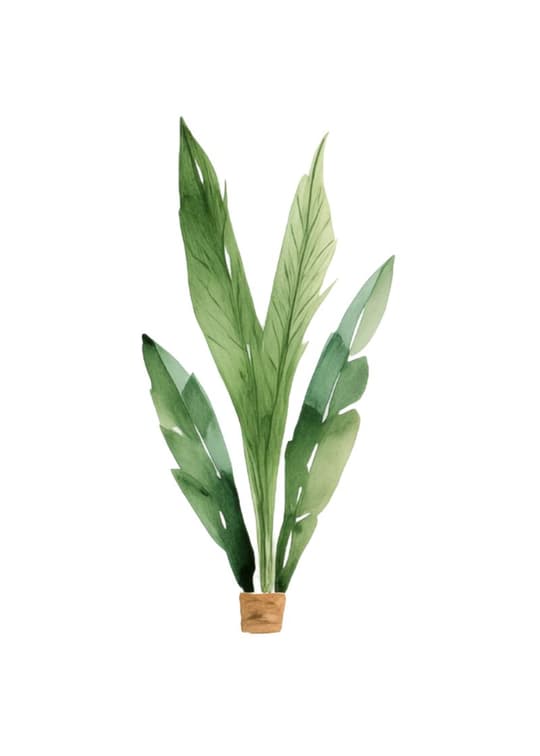 Green Potted Plant
