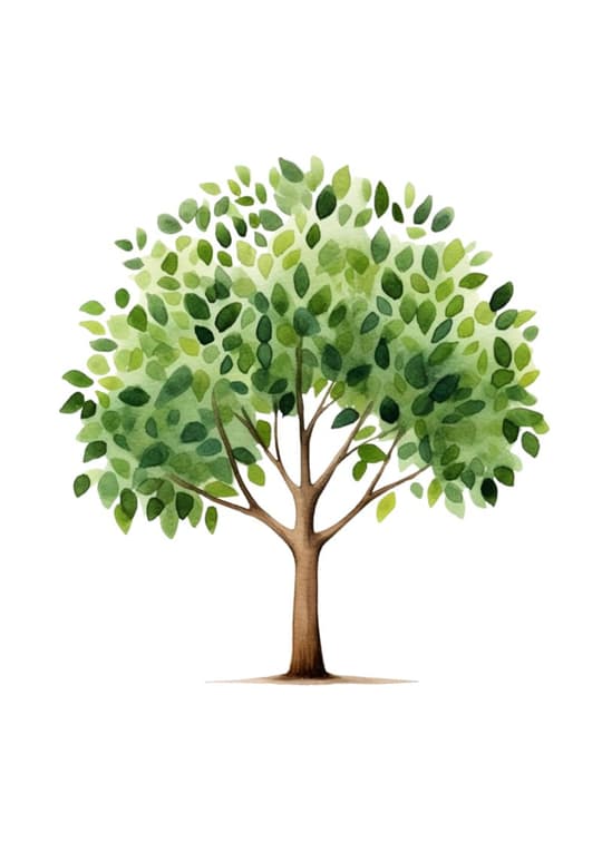 Summer Tree