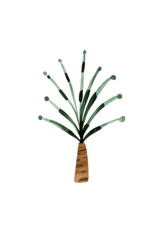Botanical Plant Study