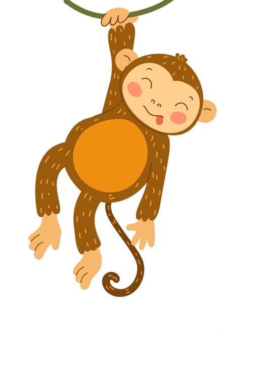 Playful Hanging Monkey