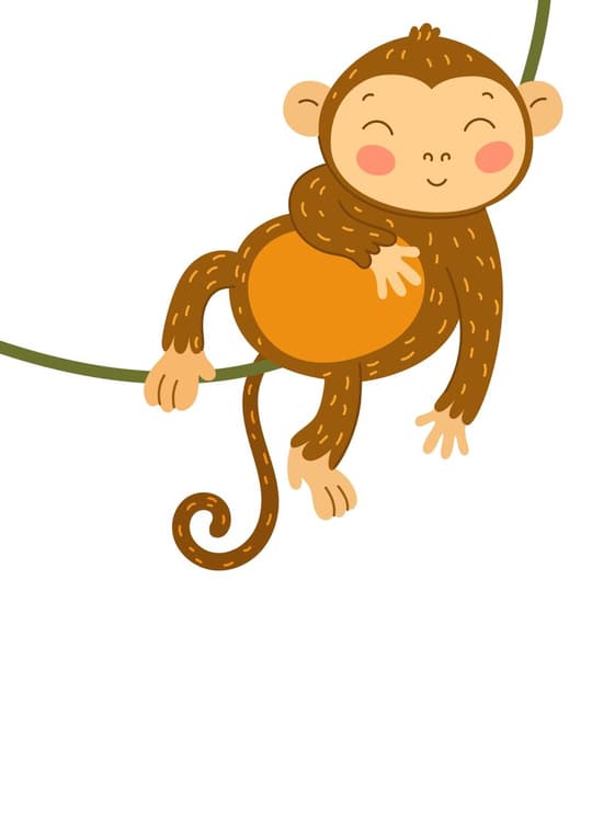 Happy Monkey on Vine