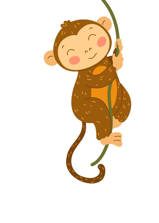 Hanging Monkey