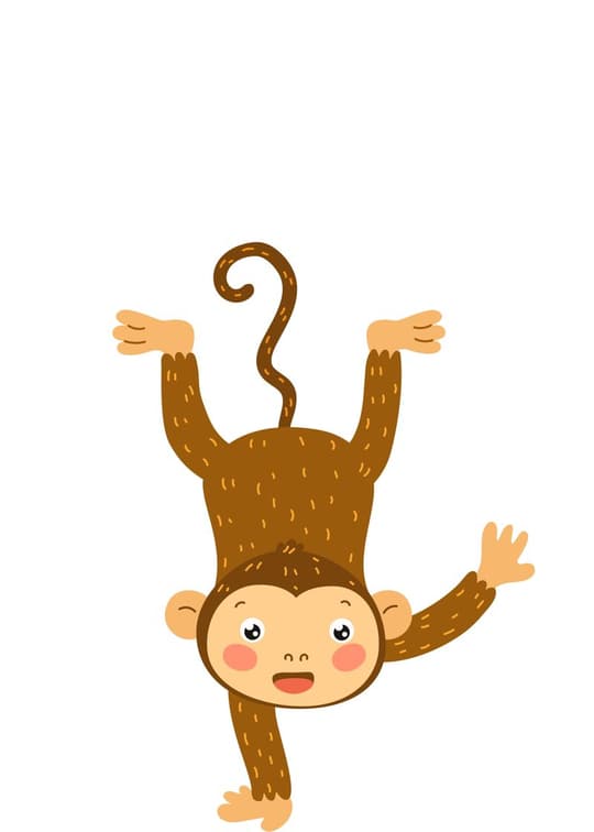 Playful Hanging Monkey