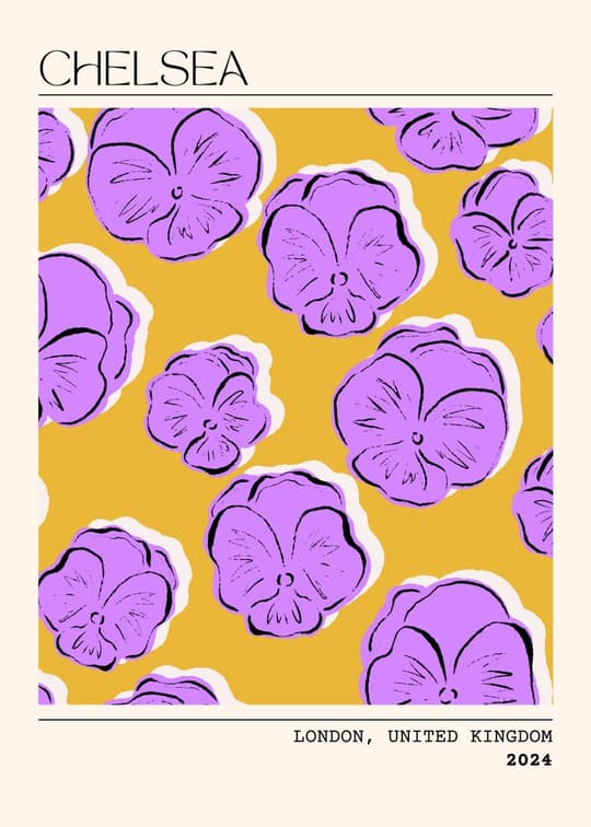 Chelsea Pansies