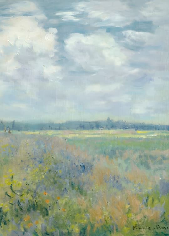 Wildflower Meadow