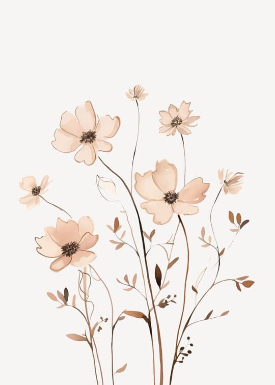 Delicate Cosmos Blooms