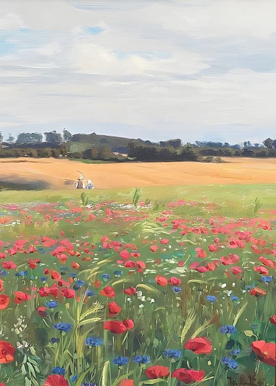 Poppy Field Landscape