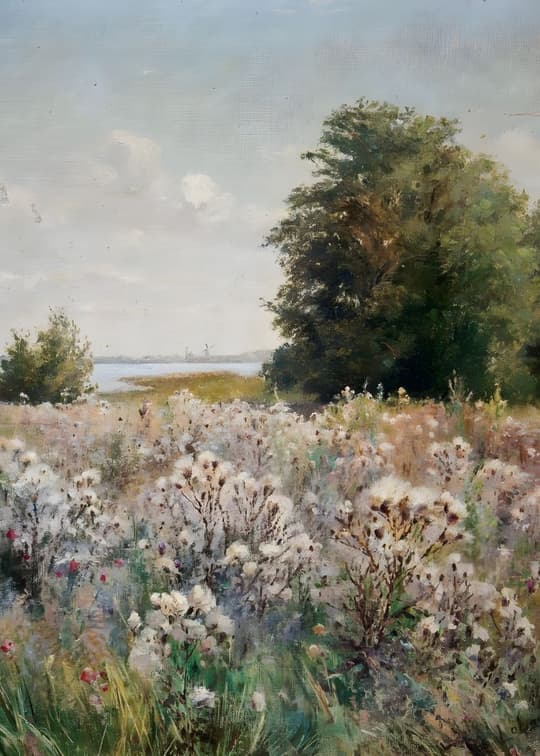 Riverside Wildflower Meadow