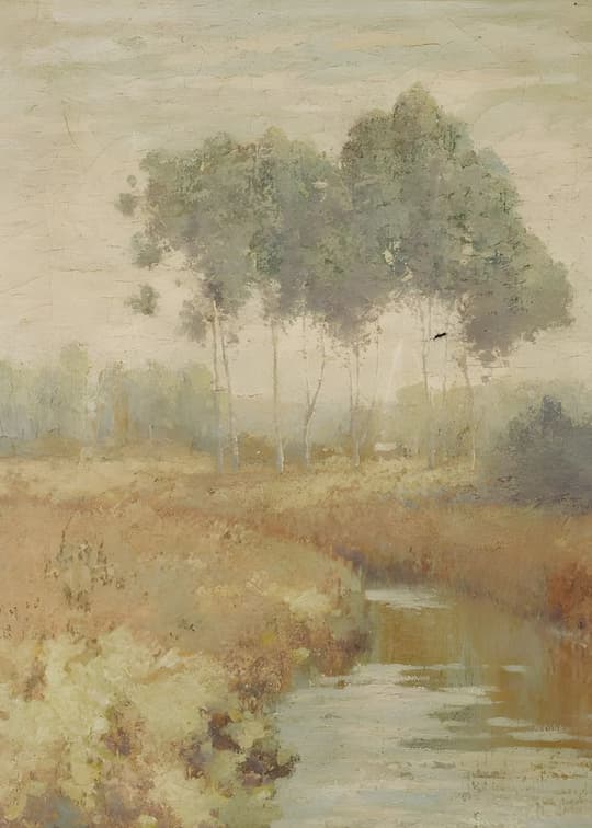 Misty Woodland Stream