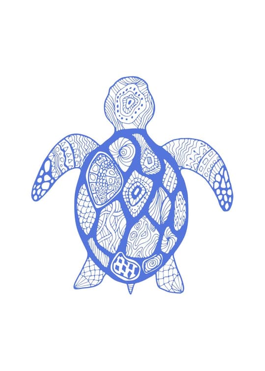 Ornamental Sea Turtle