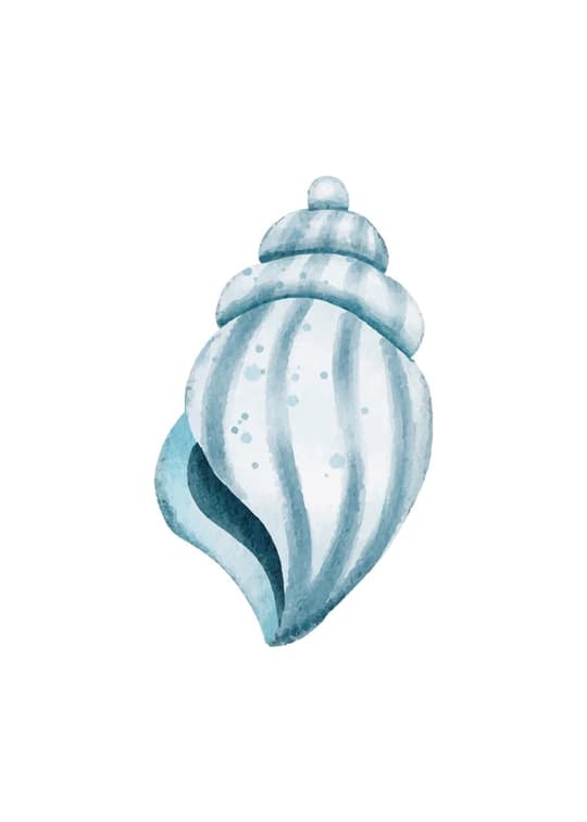 Blue Spiral Shell