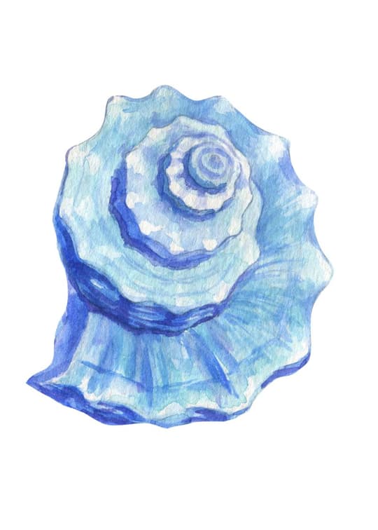 Blue Rose Watercolor