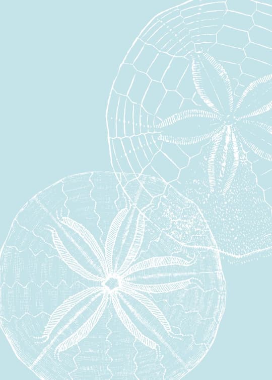 Botanical Line Art Flowers