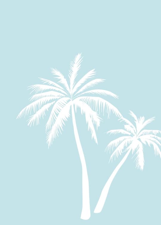 Tropical Palm Silhouettes