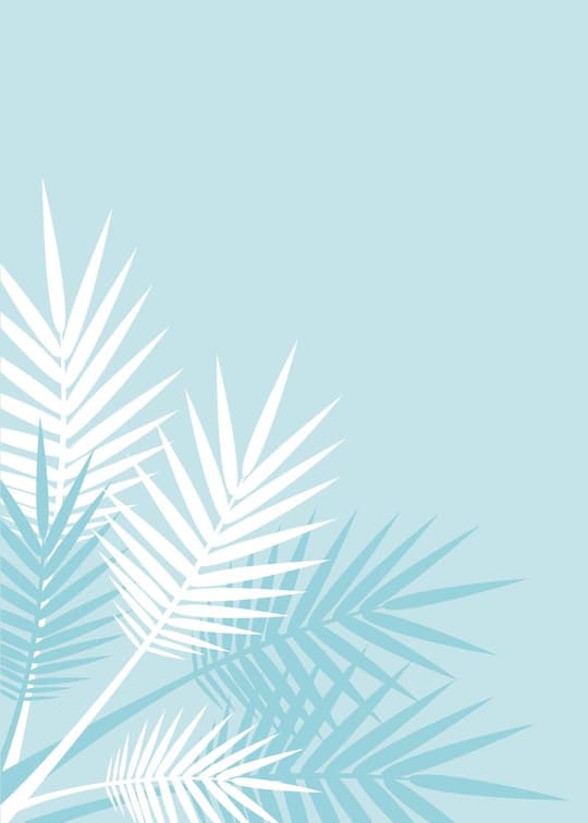 Minimalist Palm Leaves