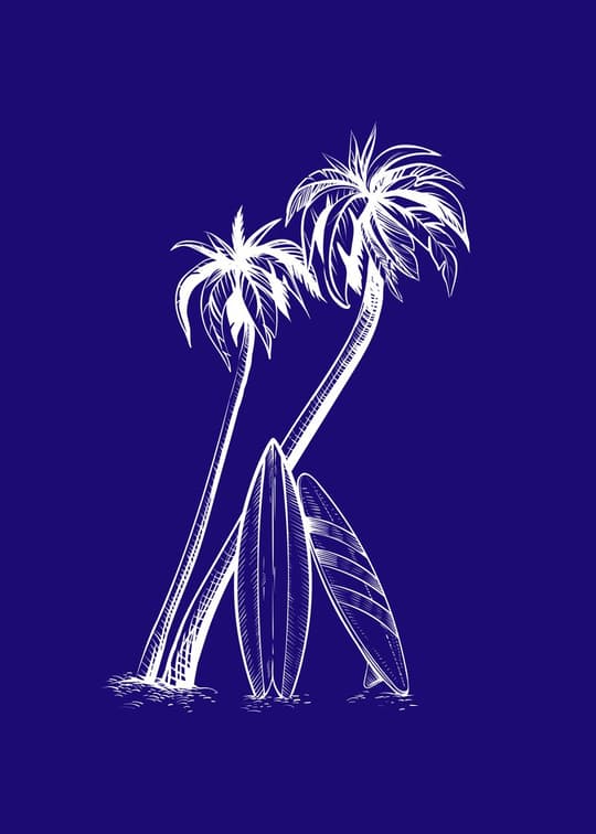 Palm Trees in Deep Blue