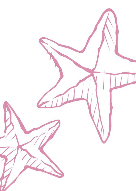 Pink Starfish Outline