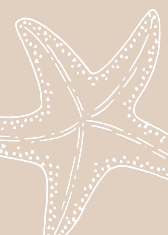 Starfish Line Drawing