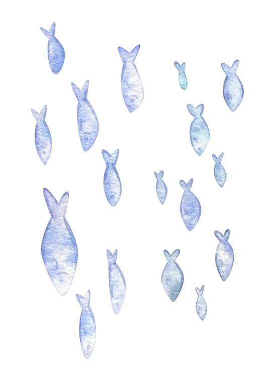 School of Fish